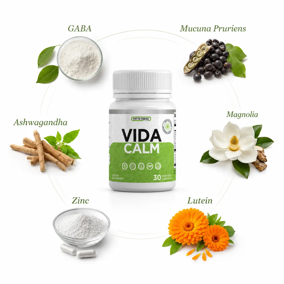 VidaCalm Supplement Formula Banner