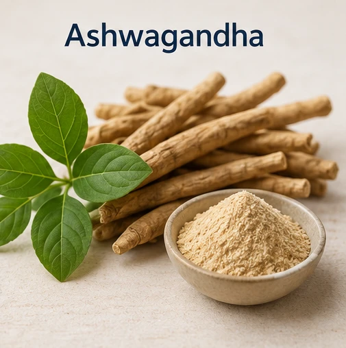 VidaCalm Ingredient Ashwagandha